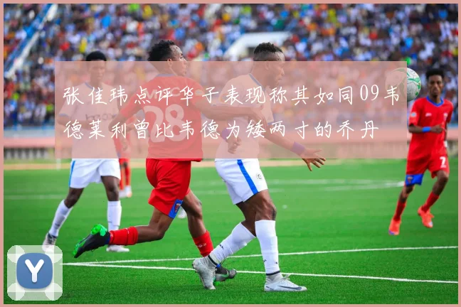张佳玮点评华子表现称其如同09韦德莱利曾比韦德为矮两寸的乔丹
